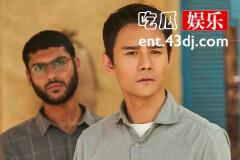 《我们这十年》为什么光伏电站的谣言越来越多