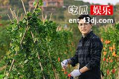 温暖的味道孙光明和岳岚在一起了吗