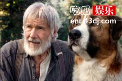 野性的呼唤电影大结局