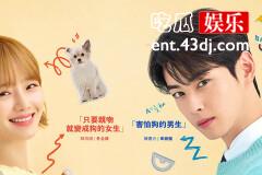 《今天也很可爱的狗》海娜家族变成狗规律是什么