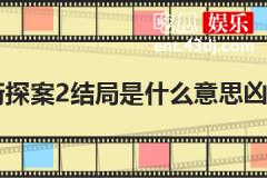唐人街探案2结局是什么意思凶手是谁