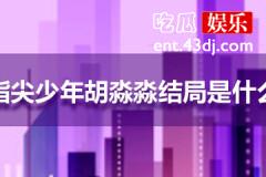 指尖少年胡淼淼结局