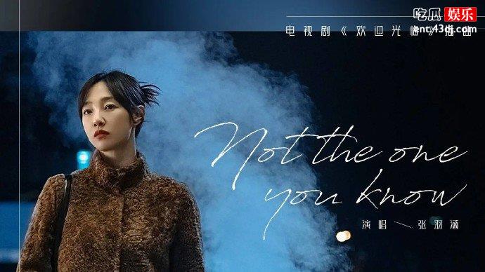 欢迎光临英文插曲叫什么