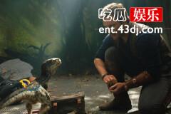 好电影早知道|《侏罗纪世界2》详细剧情