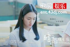 《暗恋·橘生淮南》叶展颜的爱情是偷来的吗？不，是骗来的！