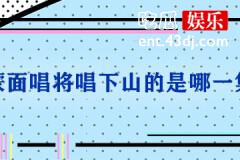 《蒙面唱将猜猜猜》下山哪一期
