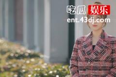 《以爱为营》秦乐之和时宴是什么关系