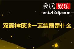 双面神探池一菲结局