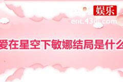 爱在星空下敏娜结局