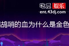 鹧鸪哨的血为什么是金色的