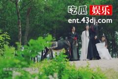 《陈情令》蓝湛明知道阿苑的身世，为何不告诉魏婴？原因有两点