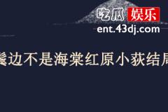 鬓边不是海棠红原小荻结局