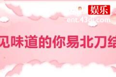 看见味道的你易北刀结局是什么