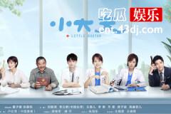 小大夫大结局解析