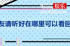 朋友请听好在哪里可以看回放