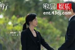 向风而行结局