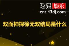 双面神探徐无双结局