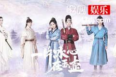 一片冰心在玉壶结局