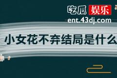 小女花不弃最后大结局