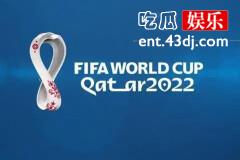2022世界杯在哪个国家举办？