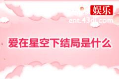 爱在星空下结局