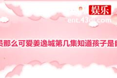 程序员那么可爱姜逸城第几集知道陆漓怀的孩子是他的