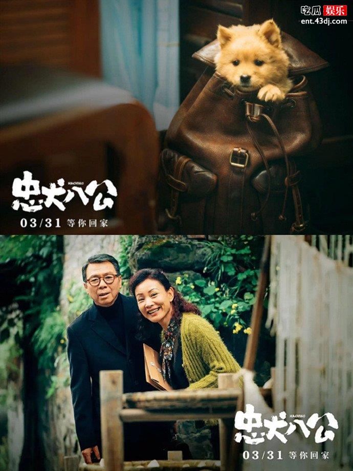 忠犬八公大概故事