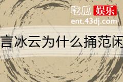 言冰云为什么捅范闲