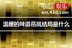 温暖的味道岳岚结局