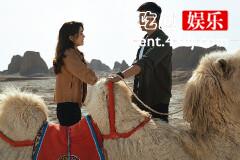 《归路》秦明宇向段柔求婚了吗？