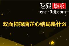 双面神探唐芷心结局