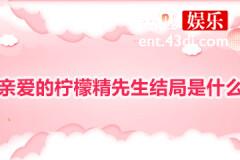 亲爱的柠檬精先生结局