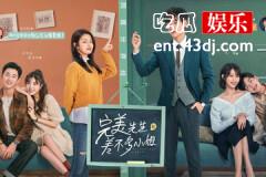 完美先生和差不多小姐里爷爷手术成功了吗
