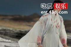 《玉骨遥》时影历劫是哪一集