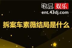 拆案车素薇最后结局
