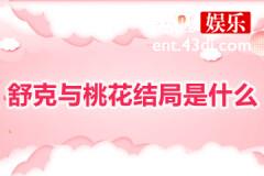 舒克与桃花结局