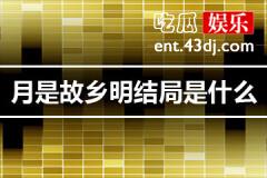 月是故乡明结局是怎样的