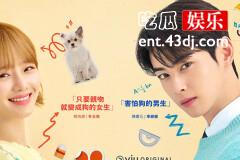 《今天也很可爱的狗》书元什么时候发现海娜的秘密