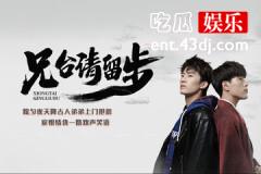 兄台请留步汪北辰结局